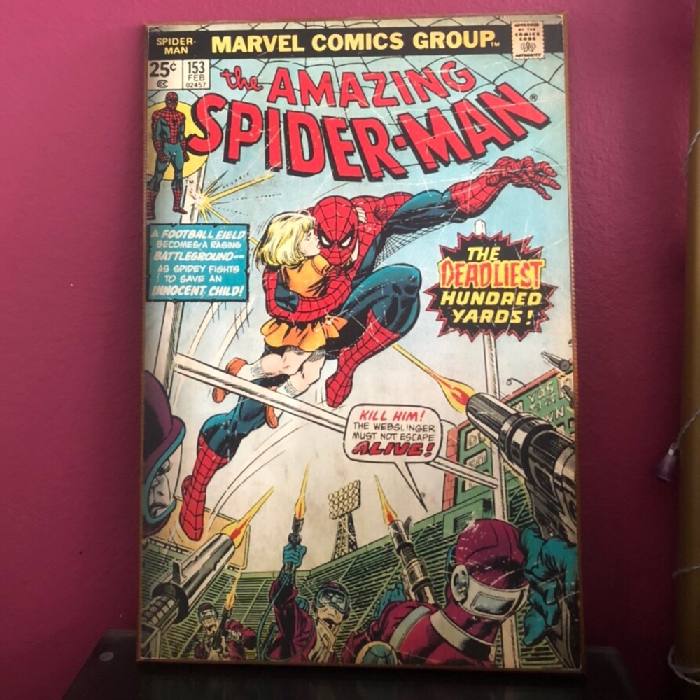 Spider-Man Comic Wall Art